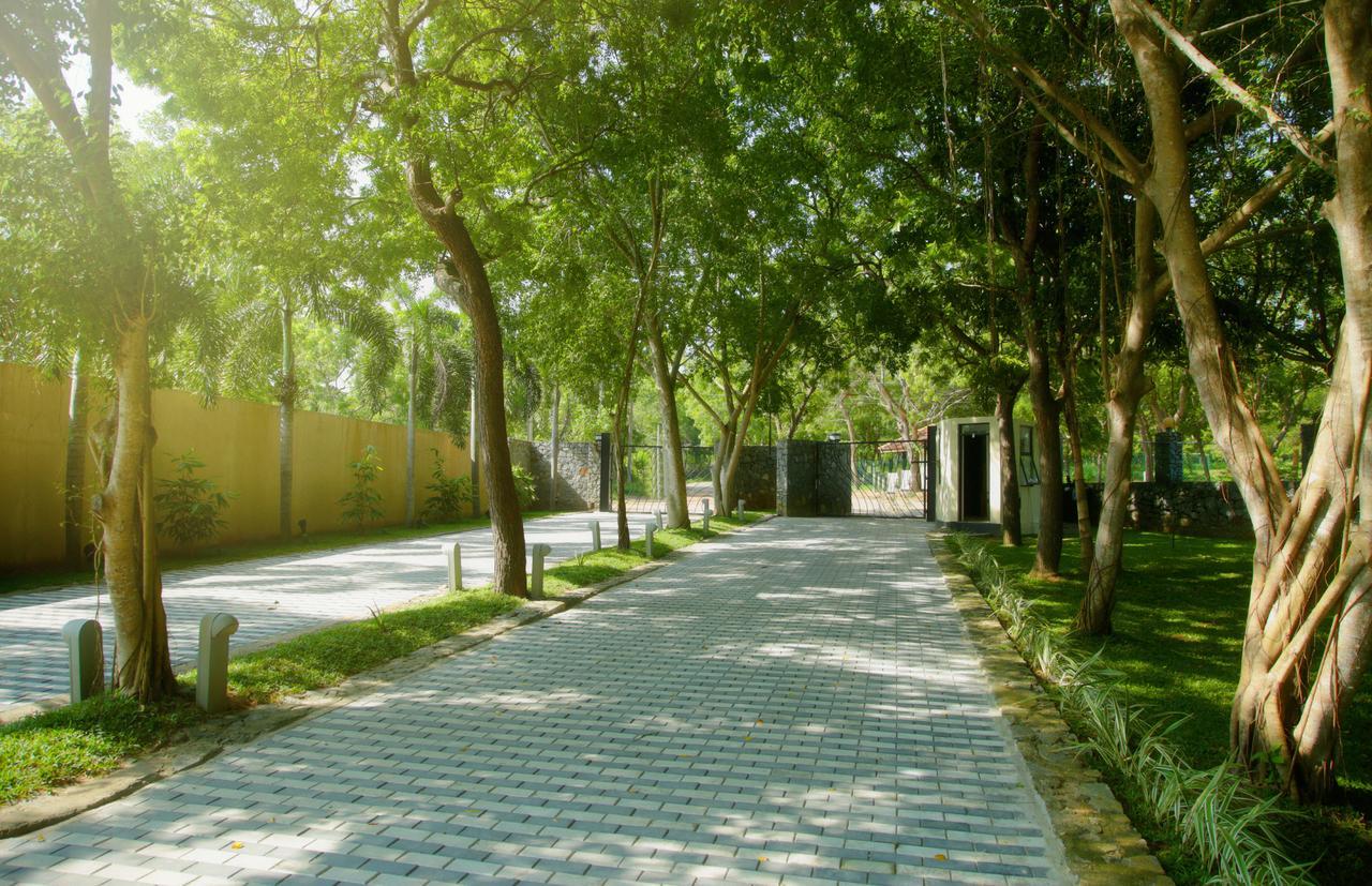 Ranna 212 Beach Resort Kahandamodara Buitenkant foto
